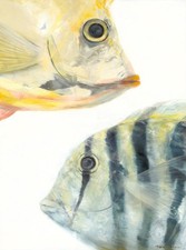 Giclée Print "Manini and