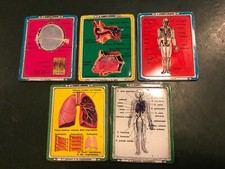 IL CORPO UMANO-CORRIERE DEI PICCOLI-LOTTO N°5 FIGURINE IN METALLO VINTAGE 60's