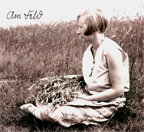 Stein feld cd forseti - stein, "am