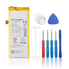 SwarKing Batteria di ricambio