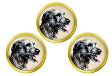 Irlandese Levriero Palla da