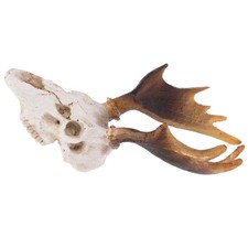  Teschio Di Cervo Rettile in
