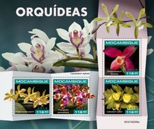 Mozambico - Fiori di orchidea 2019 - Foglio di 4 francobolli - MOZ190208a