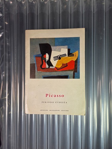 Libro picasso - libro,