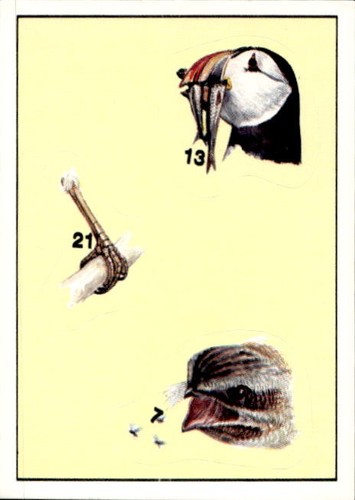 Figurina uccelli panini - figurina,