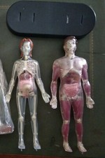 Esplorando il corpo umano, serie completa DE AGOSTINI 52volumi+Atlante+Modellini