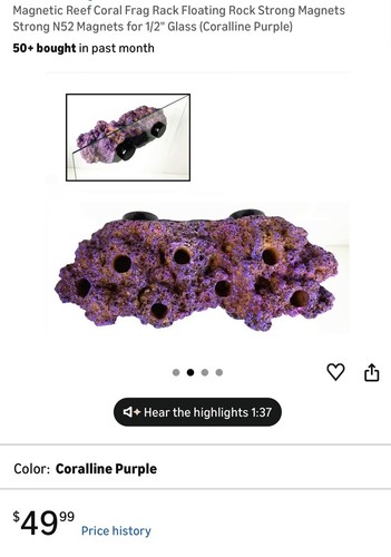 Magnetico reef coral - magnetico,