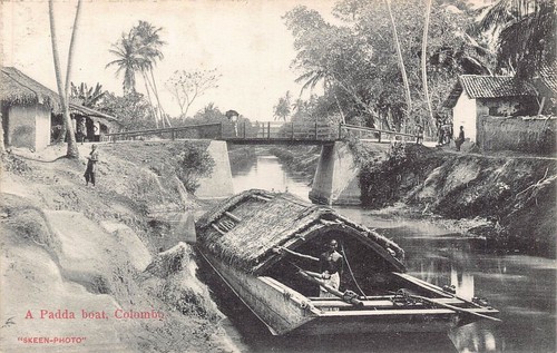 L380 ceylon sri lanka - l380, padda