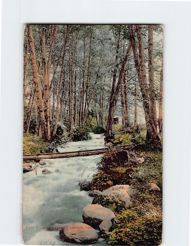 Cartolina ashland creek - cartolina, canyon