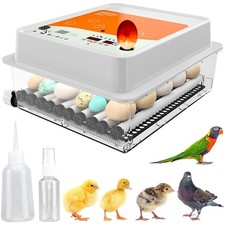 Incubadora De Huevos
