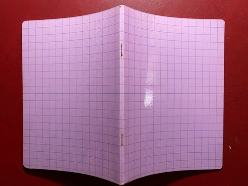 Rosa quaderno scuola vintage - scuola,