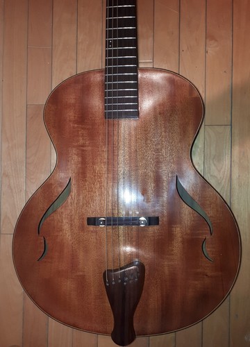 Chitarra acustica blueberry - chitarra,