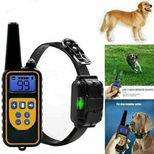 Collare 800m impermeabile - collare,