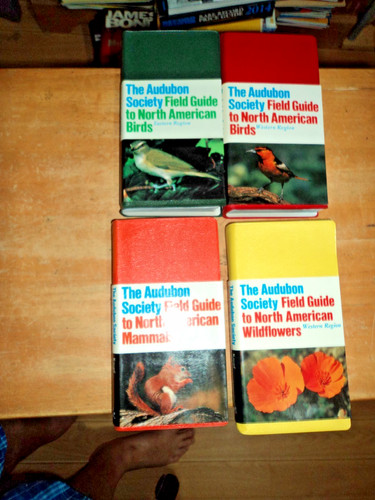 The audubon society - society, 4