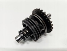 Meccanismo valvola di scarico