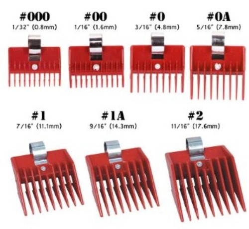 Pezzo speed guide - 1,