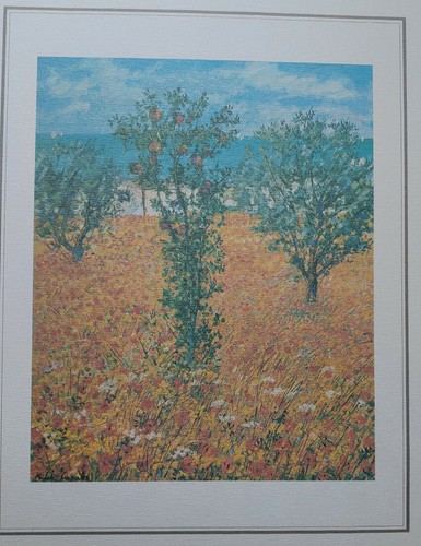 Litografia colori michele - a,