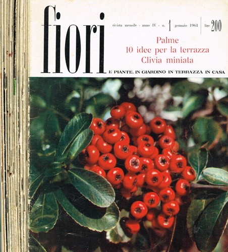 Fiori piante giardino in - fiori, piante.