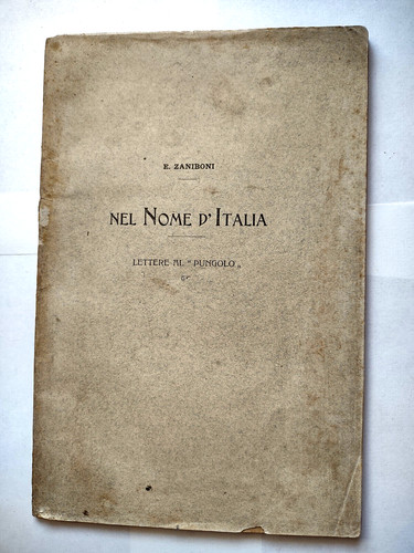 Nel nome italia lettere al - d'italia,