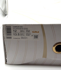 Nike LeBron XXI 21 Light Bone