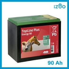 BATTERIA PER RECINTO ELETTRICO