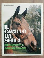 IL CAVALLO DA SELLA