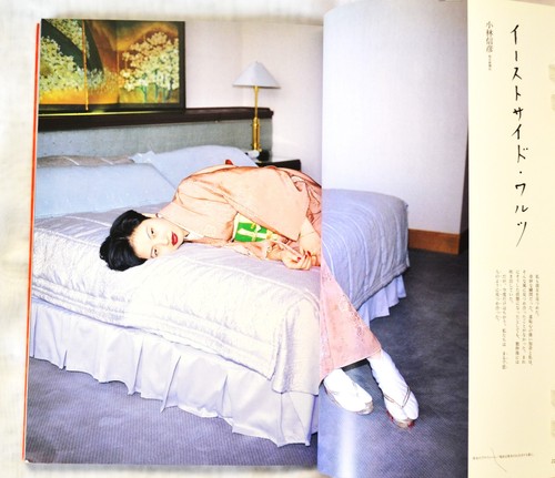 Nobuyoshi araki photo book - nobuyoshi,
