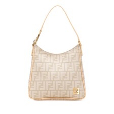 Fendi Zucca Canvas  |