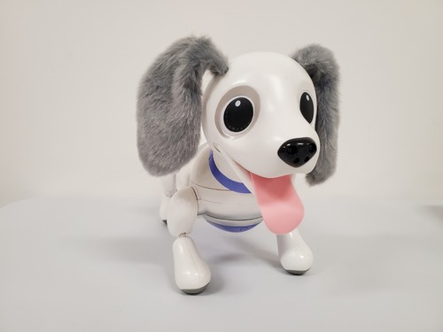 Zoomer playful pup - playful,