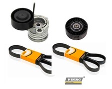 Tendicinghia Cuscinetto