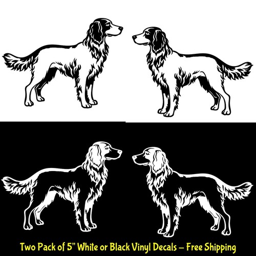 Setter irlandese cane due - , 5"