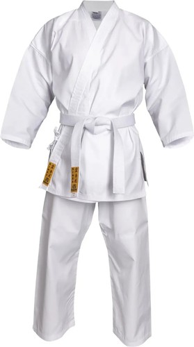 Karate hayashi kinsa - karate,