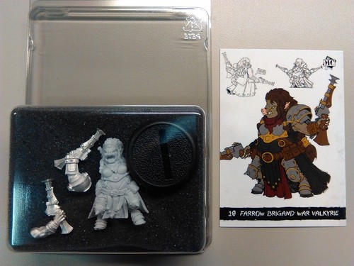 Farrow brigand war - farrow, valkyrie