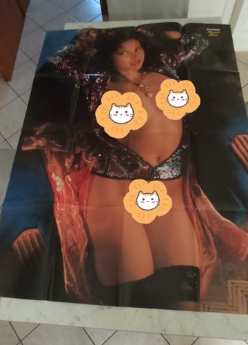 Megaposter playboy playmate - playboy,
