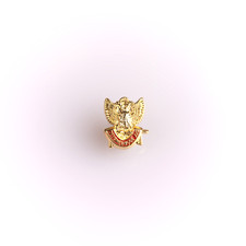 Spilla Massonica  13x11mm Rito