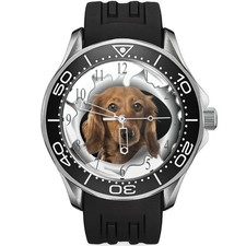 Cane Collezione Inglese Cocker