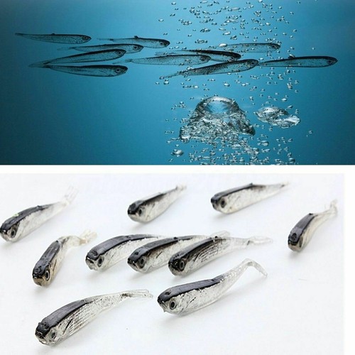 Set esca per pesca - esca,