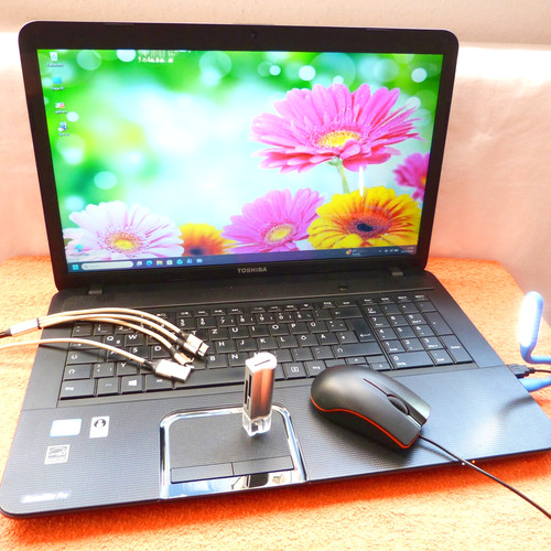Toshiba c870 pollici dts - toshiba,
