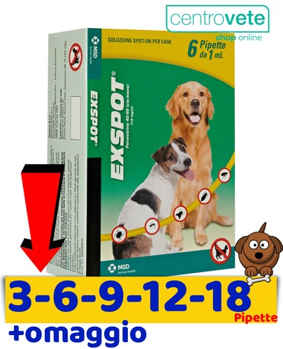 Exspot 12 18 - 1,