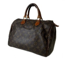 LOUIS VUITTON Speedy 30 Boston
