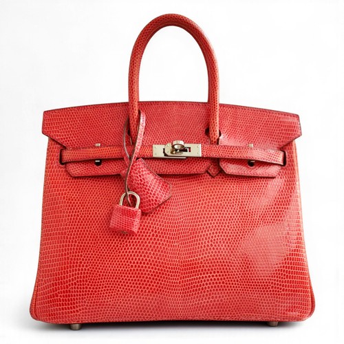 Hermes birkin lizard - hermes, in