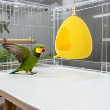  Nido Cocorite Piccolo