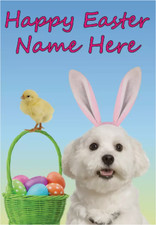 eb72 Biglietto Auguri Pasquale