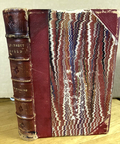 1869 the insect - by, louis