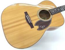 Chitarra acustica Headway