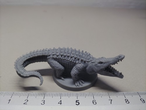 Crocodile miniature conan red - crocodile/miniature/conan,