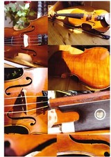 Strumento maestro violino
