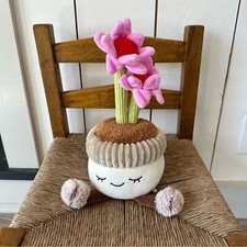 Serra di Russ Pianta di