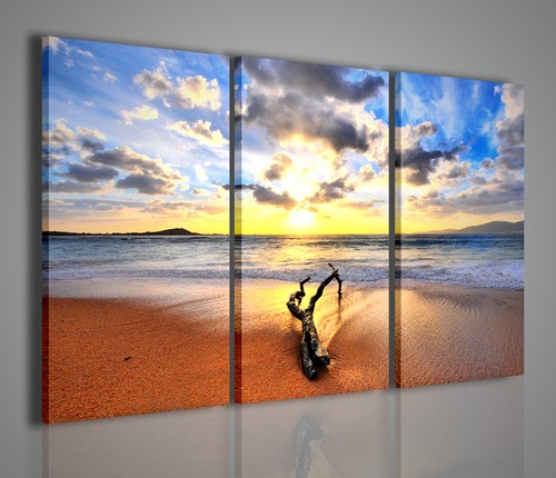 Quadro moderno single - single, object