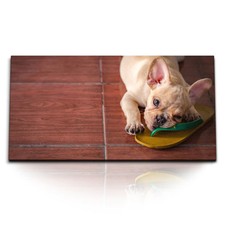 Quadri stampa artistica 120x80